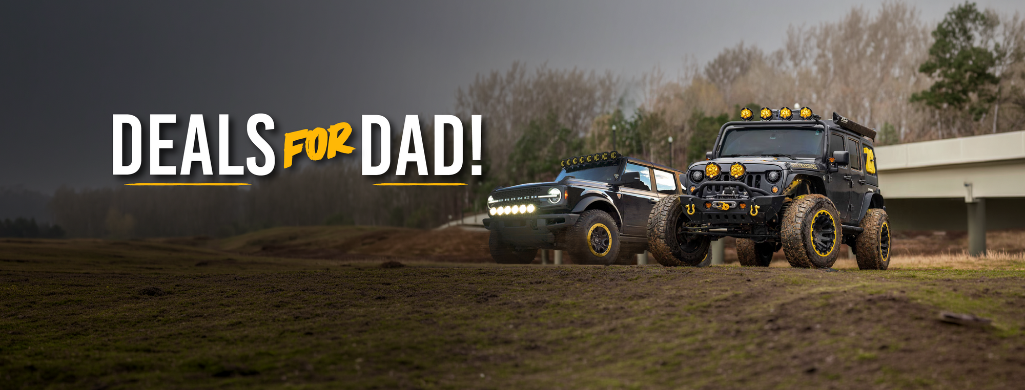 Celebrate Father's Day!