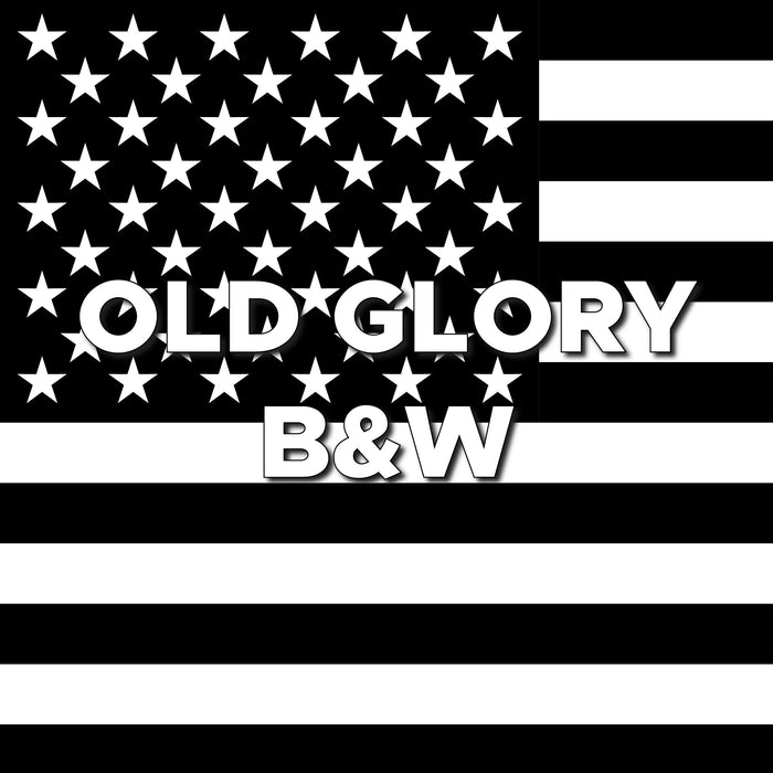 Vinyl Fox Vinyl Grille Letters| '22- Current Ford Bronco Raptor