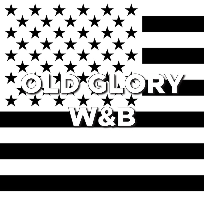 Vinyl Fox Vinyl Grille Letters| '22- Current Ford Bronco Raptor