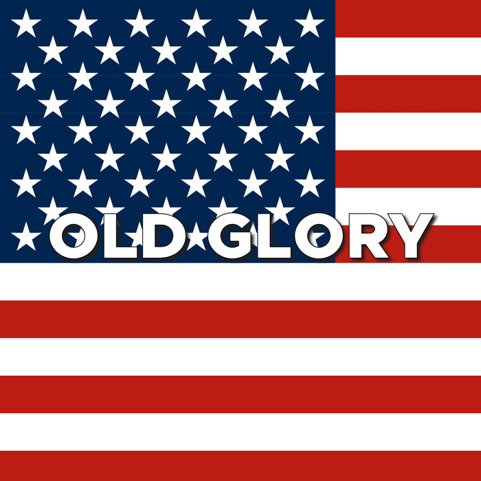 Vinyl Fox Vinyl Grille Letters| '22- Current Ford Bronco Raptor